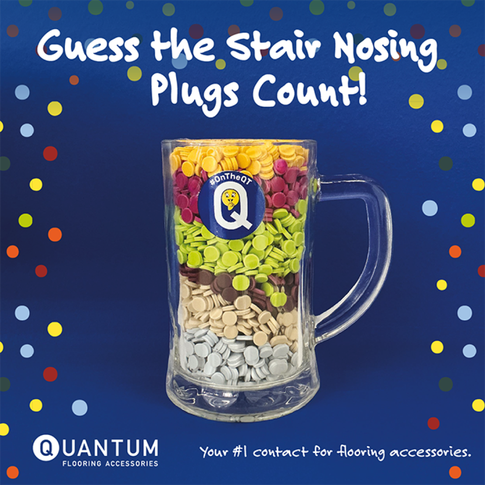 Guess the Plugs Count